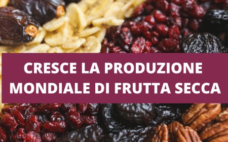 Cresce la produzione mondiale di frutta secca