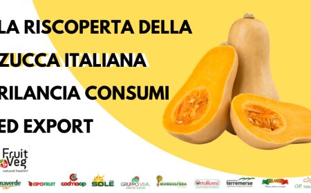 La riscoperta della zucca italiana rilancia i consumi e l'export