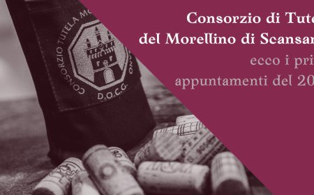 Consorzio di Tutela del Morellino di Scansano: ecco i primi appuntamenti del 2021