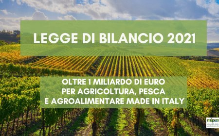 Oltre 1 miliardo per agricoltura, pesca, acquacoltura, filiere, investimenti infrastrutturali