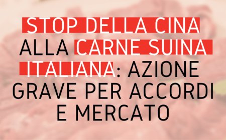 Stop della Cina alla carne suina italiana: azione grave per accordi e mercato