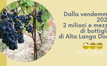 Dalla vendemmia 2020 2 milioni e mezzo di bottiglie di Alta Langa Docg