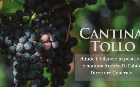 Cantina Tollo chiude il bilancio in positivo e nomina Andrea Di Fabio Direttore Generale