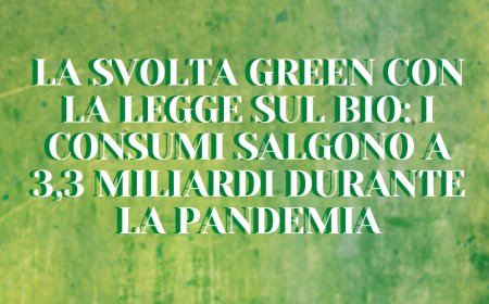 La svolta green con la legge sul bio: i consumi salgono a 3,3 miliardi durante la pandemia