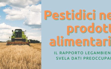 Pesticidi nei prodotti alimentari. Il rapporto Legambiente svela dati preoccupanti