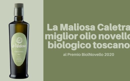 La Maliosa Caletra miglior olio novello biologico toscano al Premio BiolNovello 2020