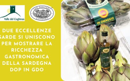 Carciofi Valle del Coghinas e Olio San Giuliano insieme in Gdo