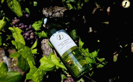 Il Pinot Grigio chiude un 2020 positivo nonostante la pandemia