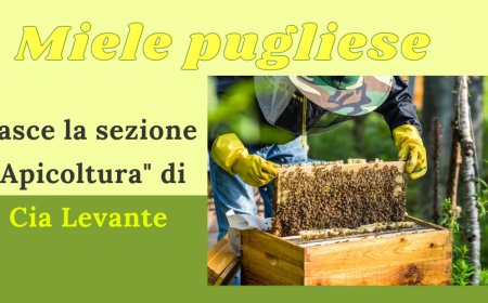 Miele pugliese: nasce la sezione "Apicoltura" di Cia Levante