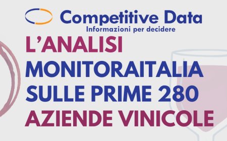 Vino e spumanti: l’analisi Monitoraitalia sulle prime 280 aziende vinicole italiane