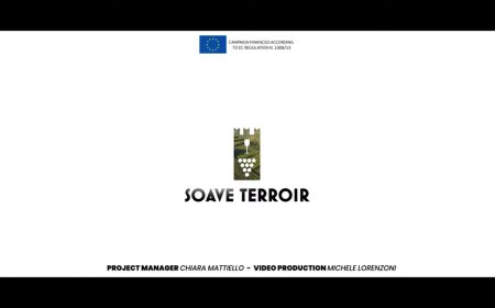 Soave terroir prende vita grazie ai volti dei produttori del Soave