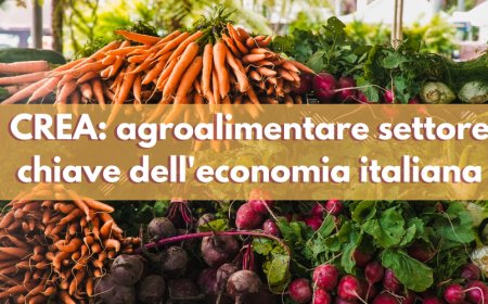 CREA: agroalimentare settore chiave dell'economia italiana