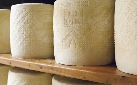 Pecorino Romano, 285mila quintali nella campagna appena conclusa