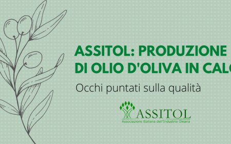 Assitol: produzione di olio d'oliva in calo. Occhi puntati sulla qualità