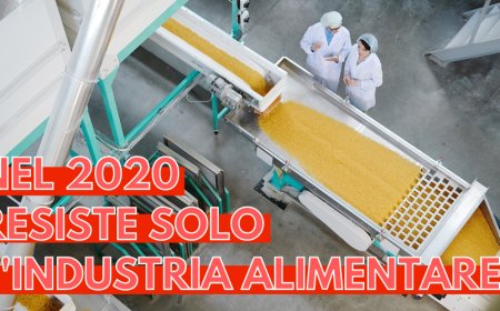 Nel 2020 resiste solo l'industria alimentare