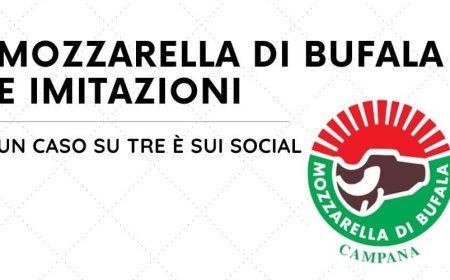 Mozzarella di Bufala e imitazioni: 1 caso su 3 è sui social