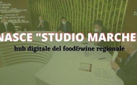 Nasce "Studio Marche", hub digitale del food&wine regionale