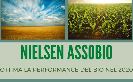 Nielsen-Assobio: ottima la performance del BIO nel 2020