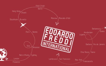 Edoardo Freddi International chiude il 2020 con 55 milioni di euro di fatturato