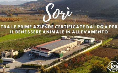 Sorì tra le prime aziende certificate dal DQA per il benessere animale in allevamento