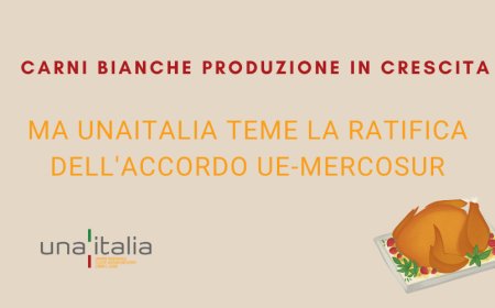 Carni bianche produzione in crescita. Ma Unaitalia teme la ratifica Ue-Mercosur