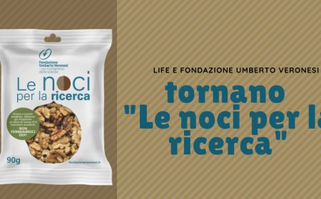 Life e Fondazione Umberto Veronesi: tornano "Le noci per la ricerca"