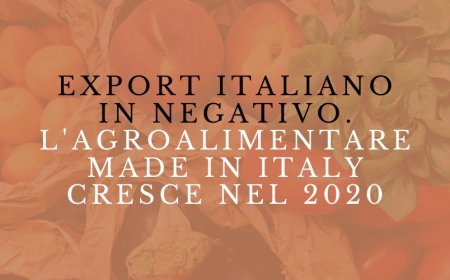 Export italiano in negativo. L'Agroalimentare Made in Italy cresce nel 2020