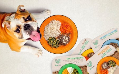 Lovbau: il primo petfood studiato per l'Horeca