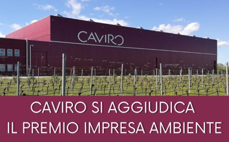 Caviro si aggiudica il Premio Impresa Ambiente