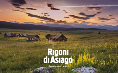 Rigoni di Asiago: restauro Lunette Chiostro Grande Santa Maria Novella Firenze