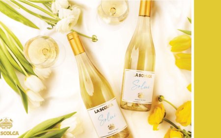 La Scolca presenta Solui: il nuovo vino che racconta innovazione e sostenibilità