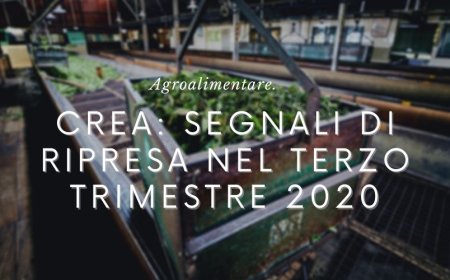Agroalimentare. Crea: segnali di ripresa nel terzo trimestre 2020