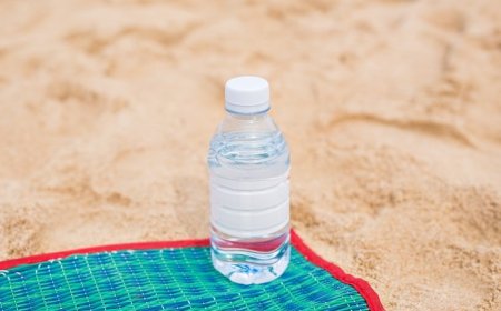 Il TAR sospende l'ordinanza "plastic free" della Regione Puglia