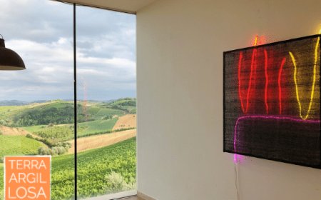 Terra Argillosa: l'arte contemporanea entra in cantina
