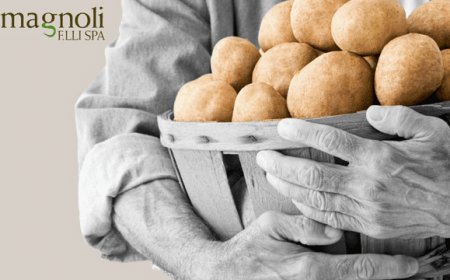 Romagnoli F.LLI Spa chiude il 2018 con un incremento sui ricavi del +2,4%