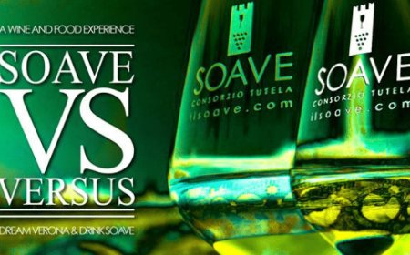 Torna Soave Versus: quattro giorni dedicati al Soave a Verona