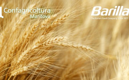 "Buongrano": l'alleanza fra Barilla e Confagricoltura Mantova guarda alla sostenibilità