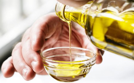 È nato il primo olio ottenuto da ulivi resistenti alla Xylella