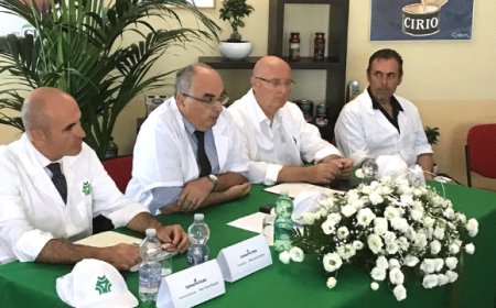 Conserve Italia: la raccolta del pomodoro continuerà fino ad ottobre