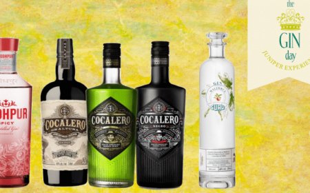 Mavi Drink presenta quattro grandi novità al The Gin Day