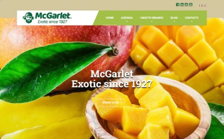 McGarlet: nuova comunicazione dal logo al sito web