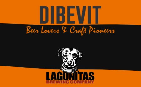 Lagunitas IPA, 12th of Never e DayTime: le bionde speciali di Dibevit Import
