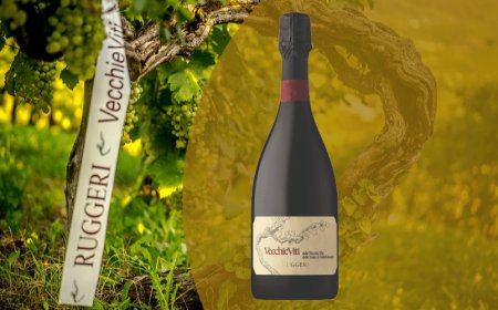 Cantina Ruggeri: l'innovazione nel solco della sostenibilità