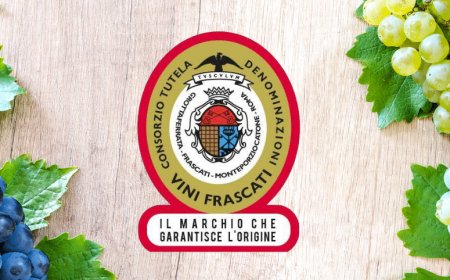 Dal Consorzio Tutela Vini Frascati una serie di proposte per salvaguardare il comparto del vino