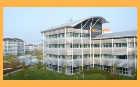 Rapporto Up Day e Tecné sull'impatto sui consumi e PIL di Buoni Pasto e Buoni Spesa