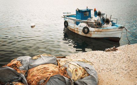 Il settore ittico colpito dalla pandemia: la denuncia di Alleanza Cooperative della pesca