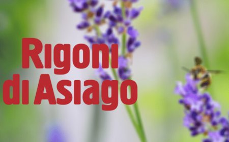 Giornata mondiale delle api: Rigoni di Asiago celebra il biologico e la natura