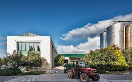 Quattro ori per Olio San Giuliano all'International Olive Oil Competition di NY