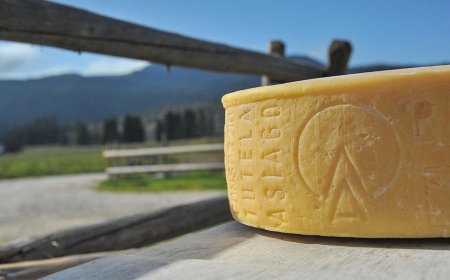 Consorzio Tutela Formaggio Asiago: riapre la stagione estiva dell’alpeggio all’insegna della tutela della biodiversità