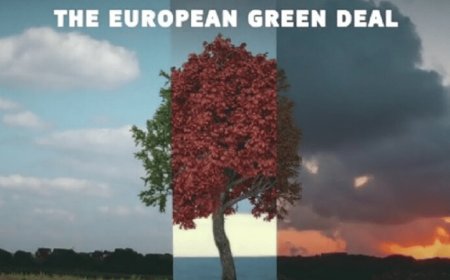 Alleanza Cooperative commenta le strategie della Commissione UE sulla sostenibilità